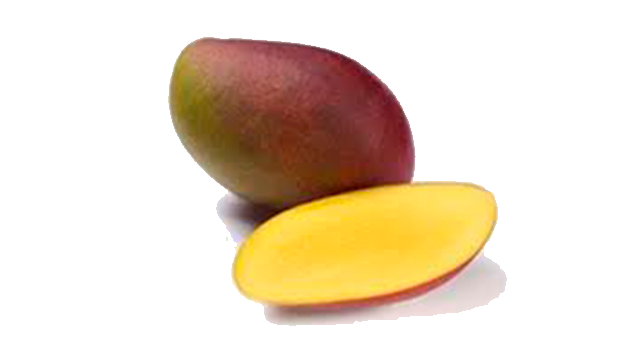 mango-palmer